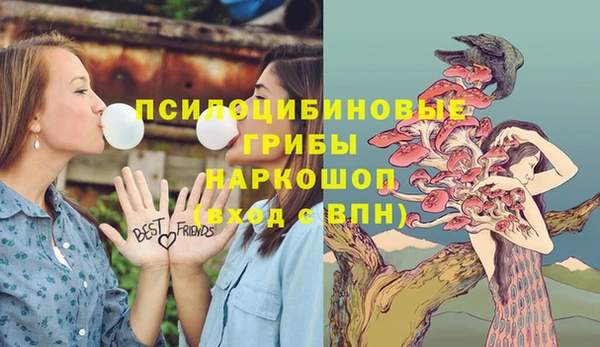 стафф Белоозёрский