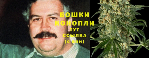 индика Гусев