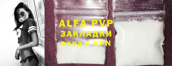 ешки Белокуриха