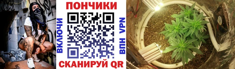 Бошки Шишки тримм  Калач 